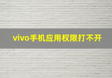 vivo手机应用权限打不开