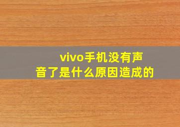 vivo手机没有声音了是什么原因造成的