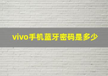 vivo手机蓝牙密码是多少