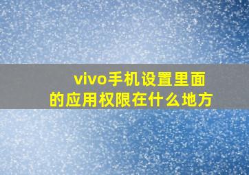 vivo手机设置里面的应用权限在什么地方