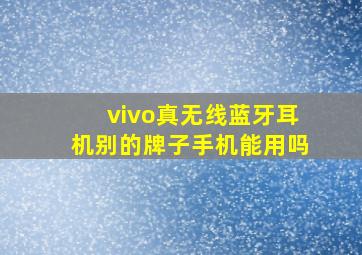 vivo真无线蓝牙耳机别的牌子手机能用吗