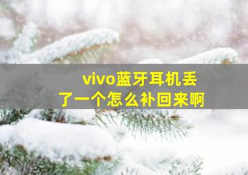 vivo蓝牙耳机丢了一个怎么补回来啊