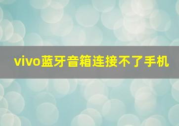 vivo蓝牙音箱连接不了手机