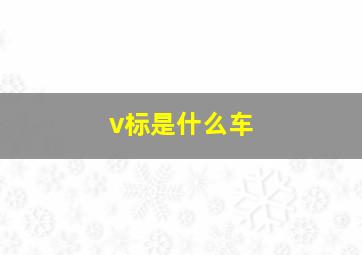 v标是什么车