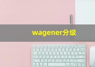 wagener分级