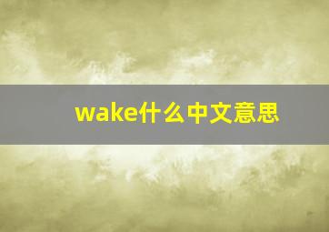 wake什么中文意思