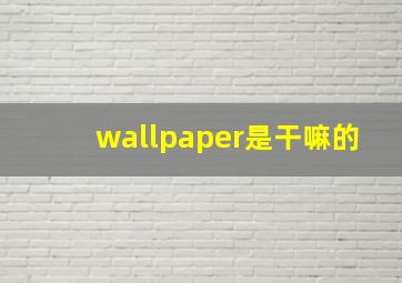 wallpaper是干嘛的