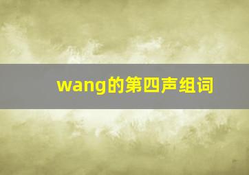 wang的第四声组词