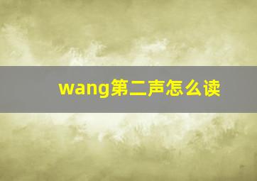 wang第二声怎么读