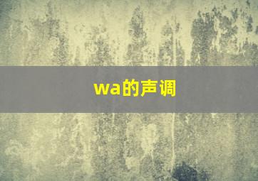 wa的声调