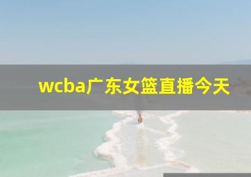 wcba广东女篮直播今天