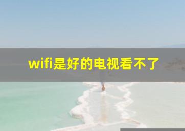 wifi是好的电视看不了