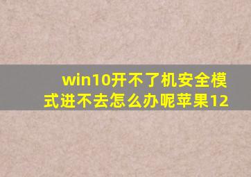 win10开不了机安全模式进不去怎么办呢苹果12