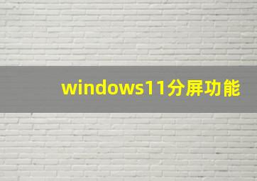 windows11分屏功能