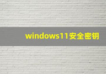 windows11安全密钥