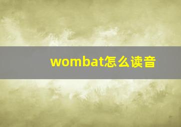 wombat怎么读音