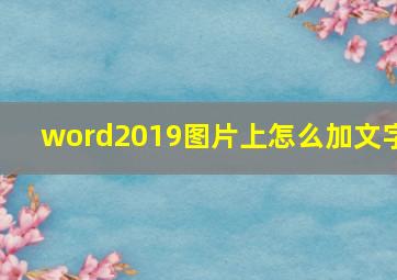 word2019图片上怎么加文字