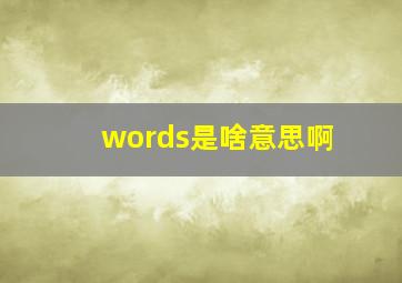 words是啥意思啊