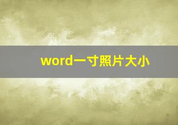 word一寸照片大小