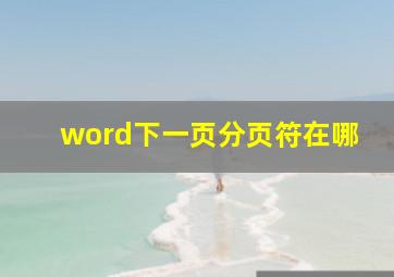 word下一页分页符在哪