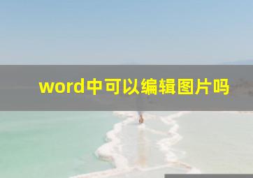 word中可以编辑图片吗