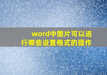 word中图片可以进行哪些设置格式的操作