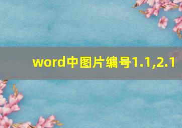 word中图片编号1.1,2.1