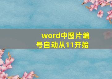 word中图片编号自动从11开始