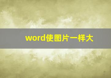 word使图片一样大