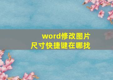 word修改图片尺寸快捷键在哪找