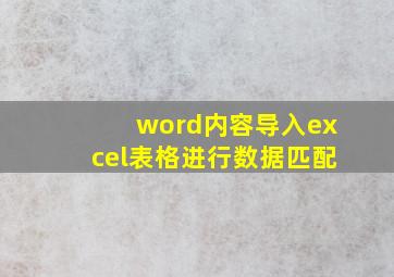 word内容导入excel表格进行数据匹配