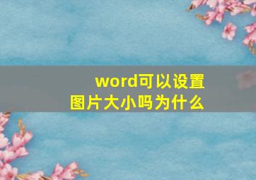 word可以设置图片大小吗为什么