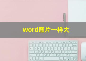 word图片一样大