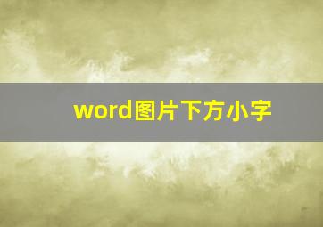 word图片下方小字