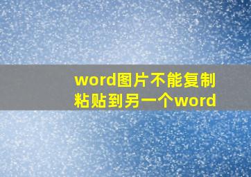 word图片不能复制粘贴到另一个word