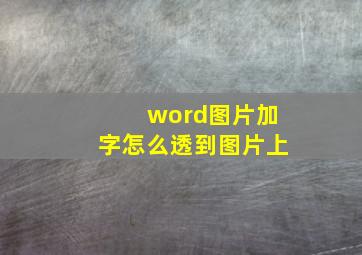 word图片加字怎么透到图片上