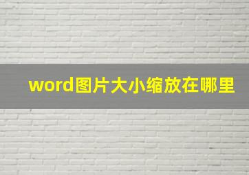 word图片大小缩放在哪里