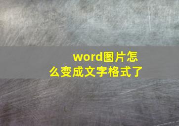 word图片怎么变成文字格式了