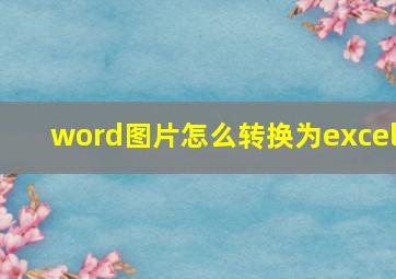 word图片怎么转换为excel