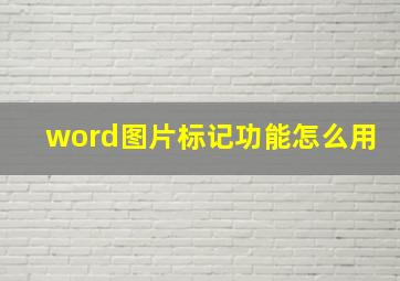 word图片标记功能怎么用