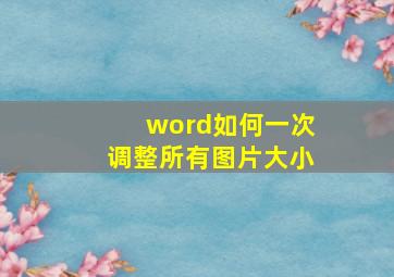 word如何一次调整所有图片大小