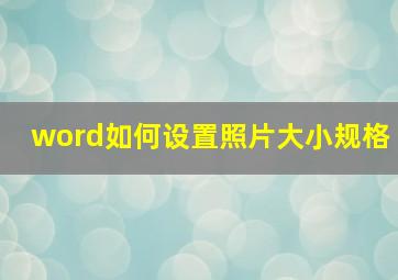 word如何设置照片大小规格