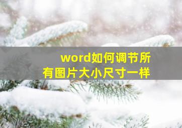 word如何调节所有图片大小尺寸一样