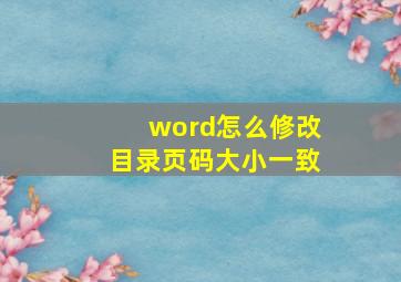 word怎么修改目录页码大小一致