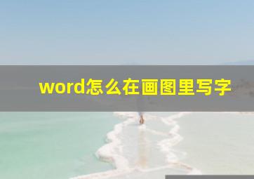 word怎么在画图里写字