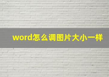 word怎么调图片大小一样