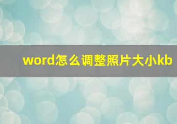 word怎么调整照片大小kb