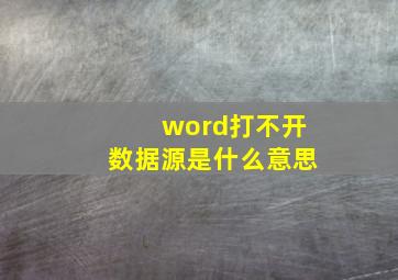 word打不开数据源是什么意思