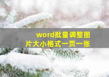 word批量调整图片大小格式一页一张