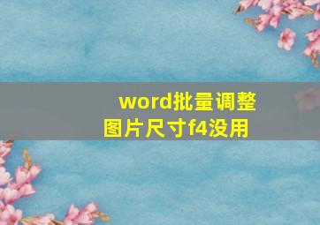 word批量调整图片尺寸f4没用